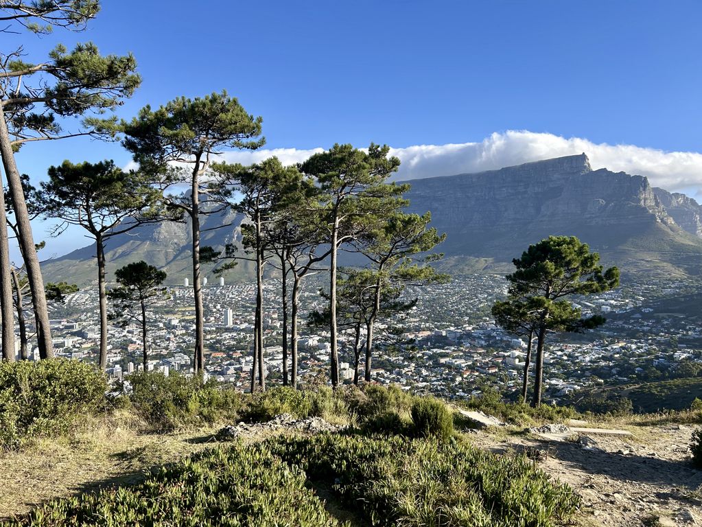 Kaapstad Zuid Afrika groepsrondreis 2